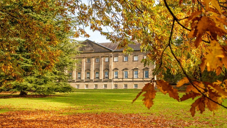 Nostell in the autumn surrounded by trees and fallen brown and yellow leaves